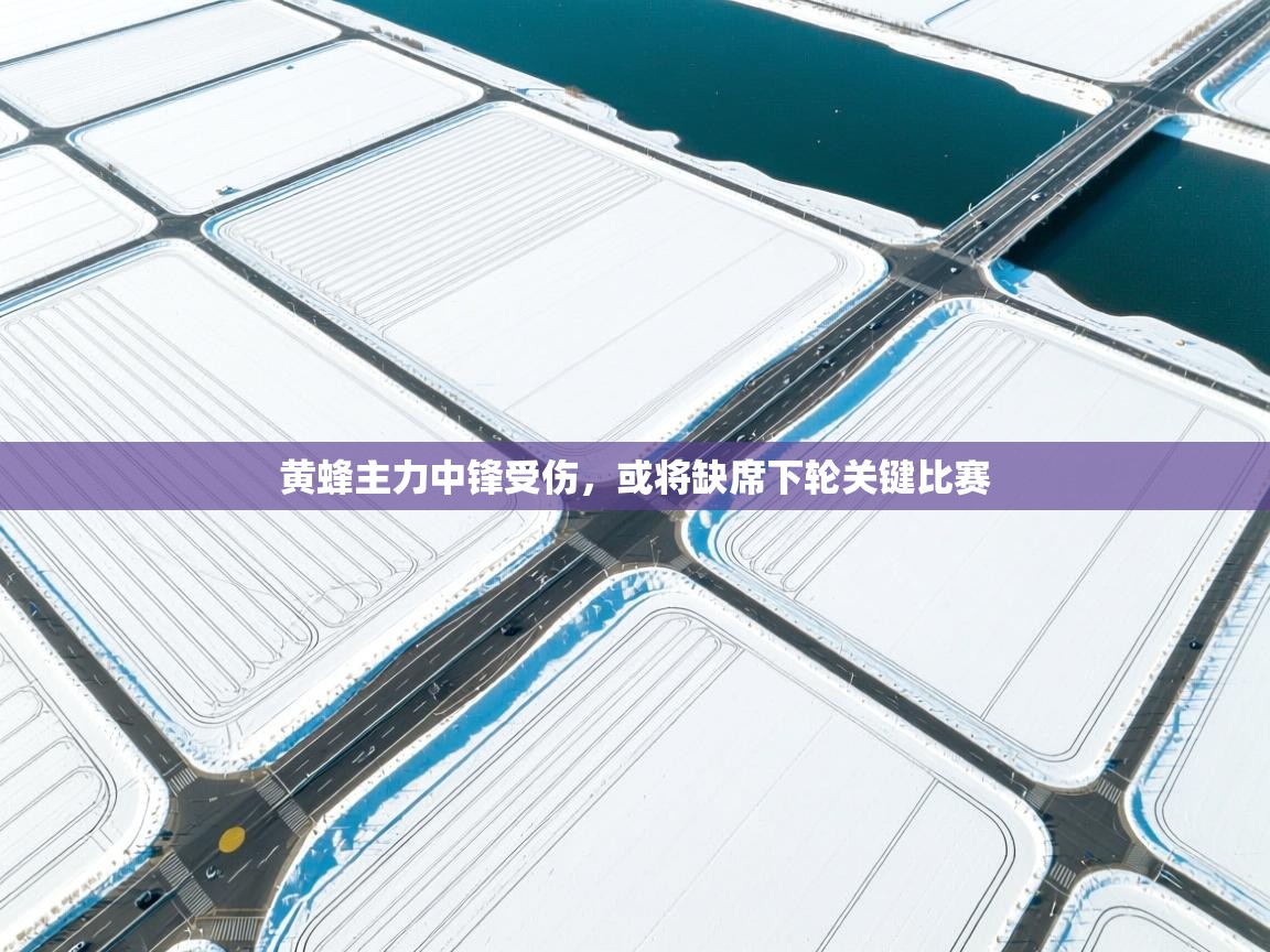 爱游戏体育直播-黄蜂主力中锋受伤,或将缺席下轮关键比赛 第3张
