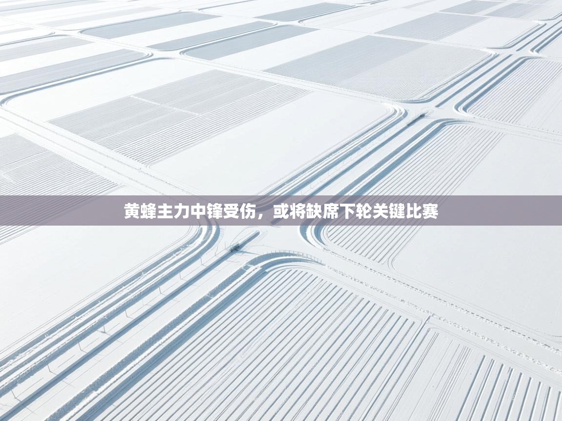 爱游戏体育直播-黄蜂主力中锋受伤,或将缺席下轮关键比赛 第4张