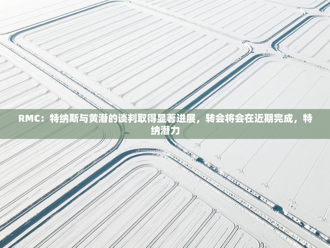 爱游戏体育-RMC:特纳斯与黄潜的谈判取得显著进展,转会将会在近期完成,特纳潜力