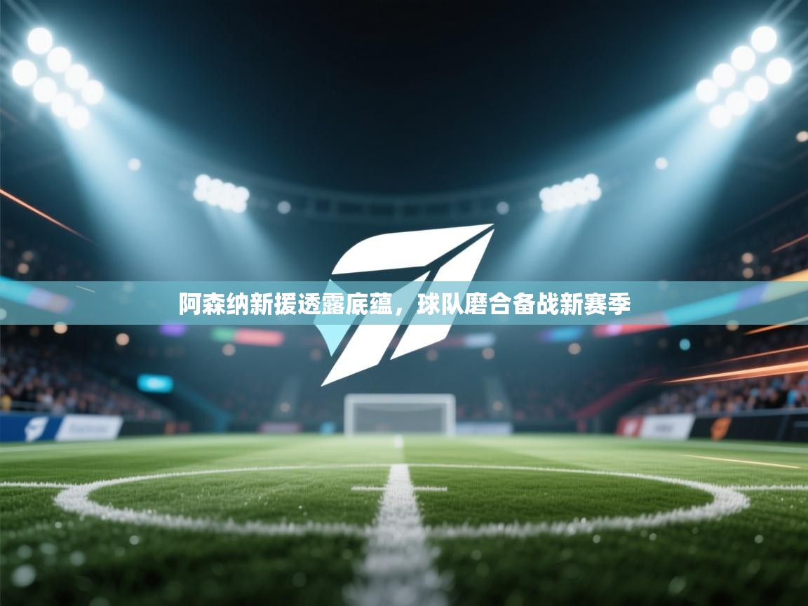 -阿森纳新援透露底蕴，球队磨合备战新赛季  第1张