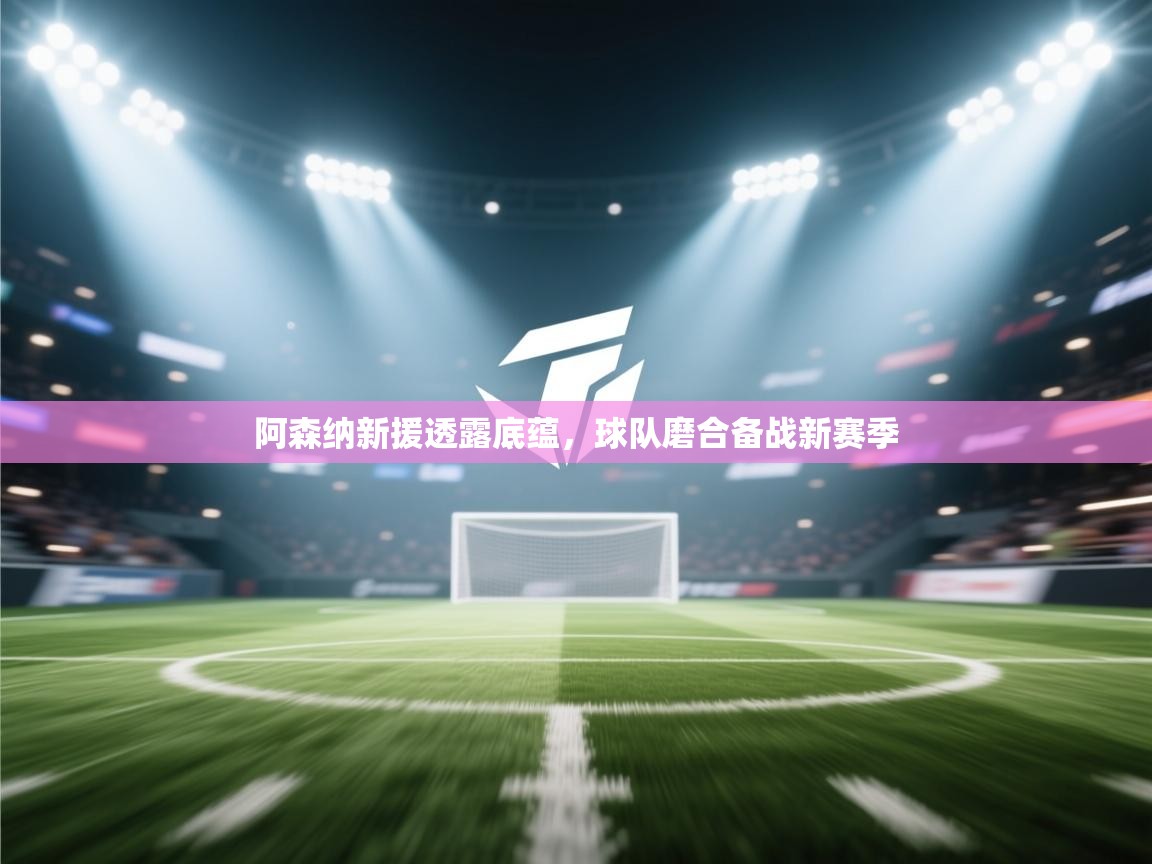 -阿森纳新援透露底蕴，球队磨合备战新赛季  第2张