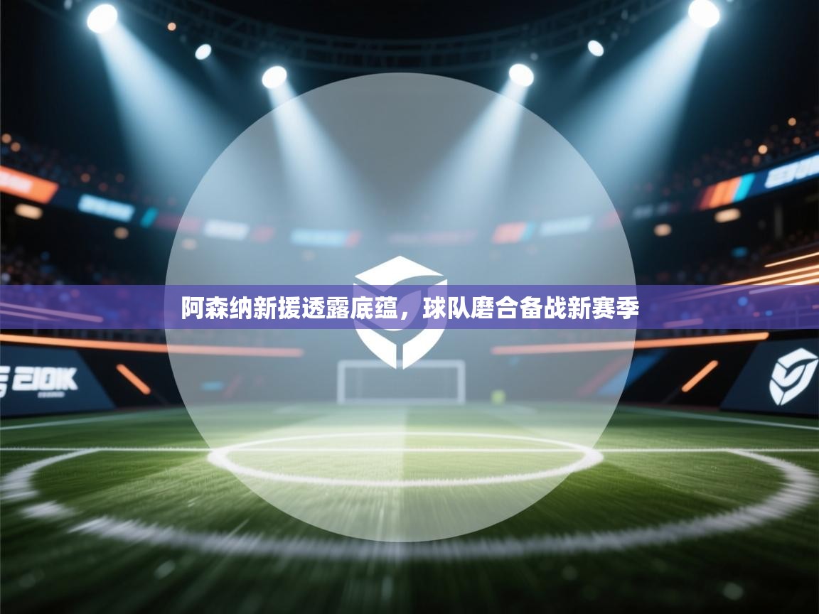 -阿森纳新援透露底蕴，球队磨合备战新赛季  第3张