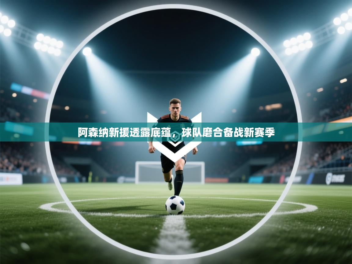 -阿森纳新援透露底蕴，球队磨合备战新赛季  第4张