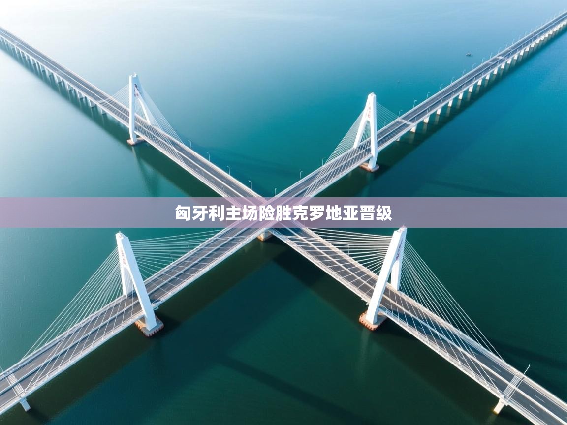 爱游戏-匈牙利主场险胜克罗地亚晋级 第1张