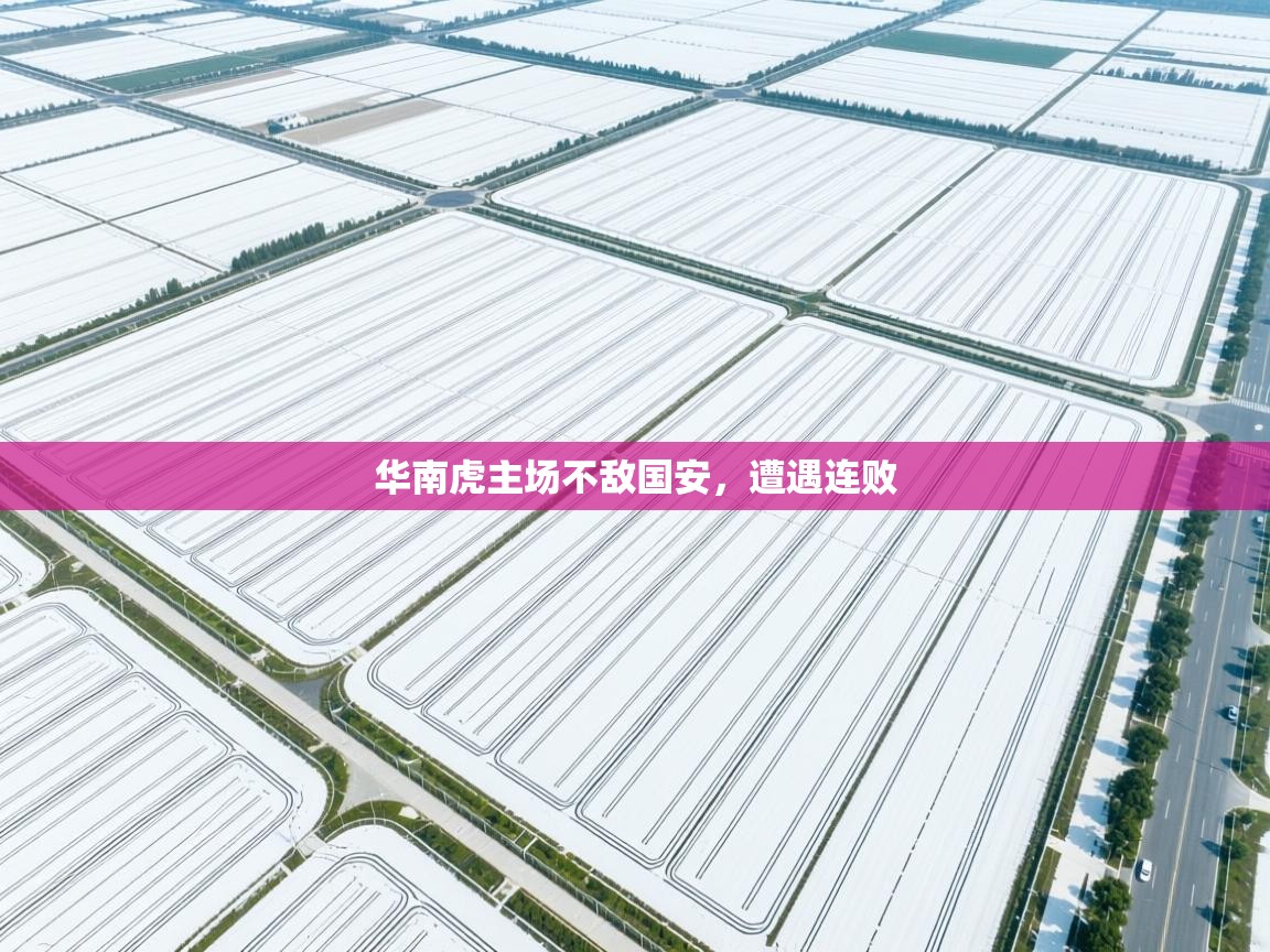 爱游戏厅下载-华南虎主场不敌国安，遭遇连败