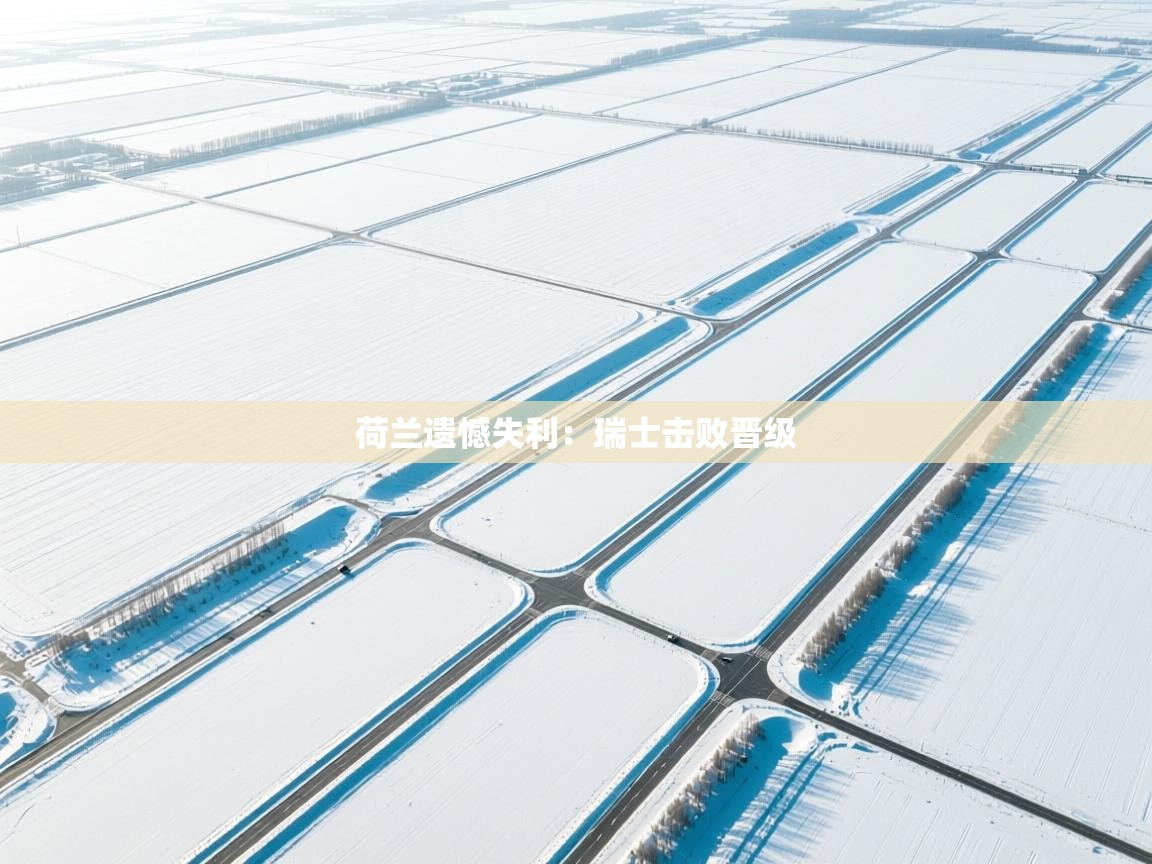 爱游戏体育直播-荷兰遗憾失利:瑞士击败晋级 第2张