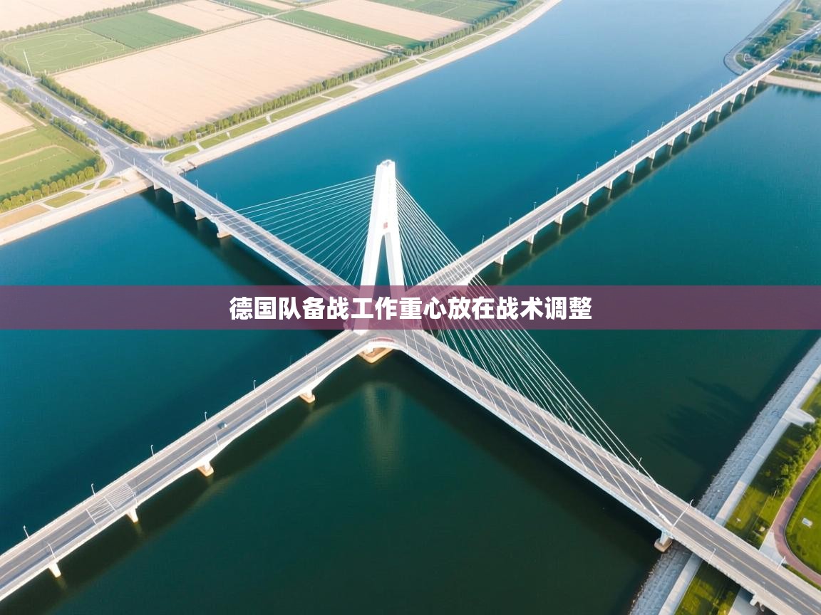 爱游戏直播-德国队备战工作重心放在战术调整  第1张