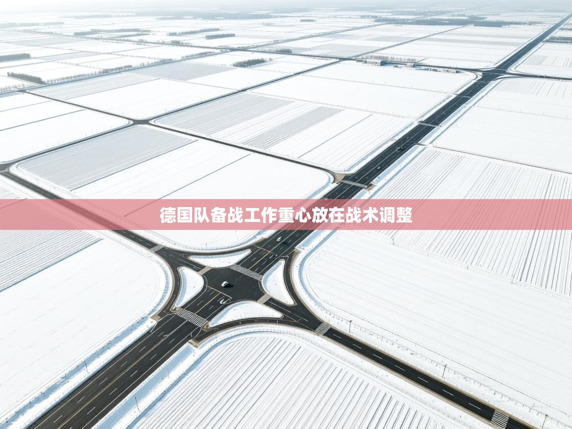 爱游戏直播-德国队备战工作重心放在战术调整  第3张