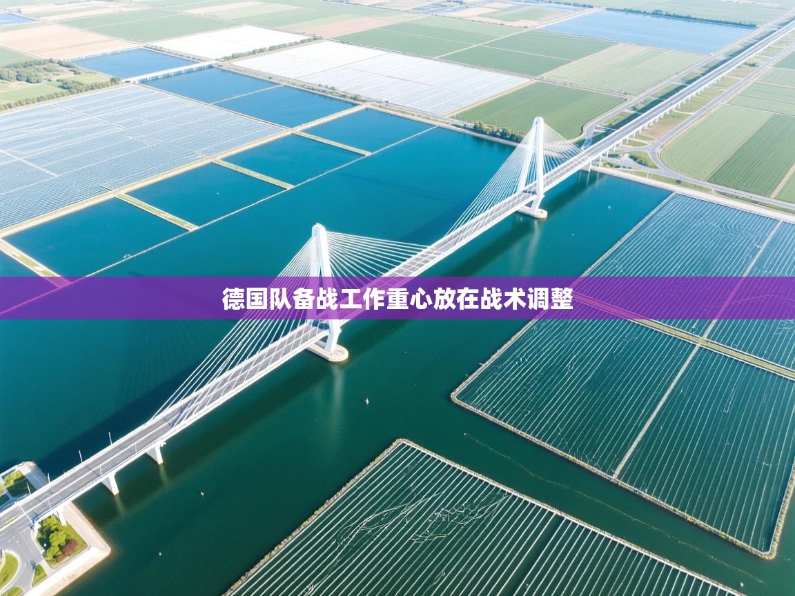 爱游戏直播-德国队备战工作重心放在战术调整  第2张